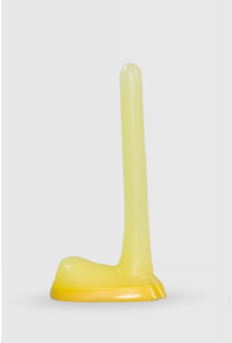 VERTEBRA NEW Z - KING MAGIC