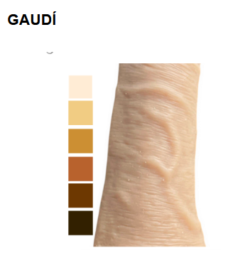 PACKER GAUDI- ECONOMICO